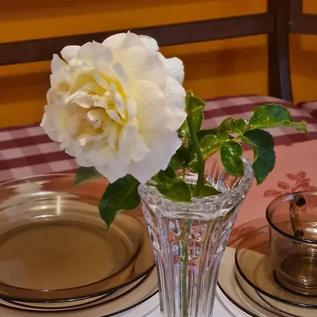 Bei Chogman * Gronau (Lower Saxony)